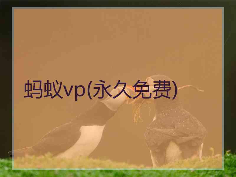 蚂蚁vp(永久免费)