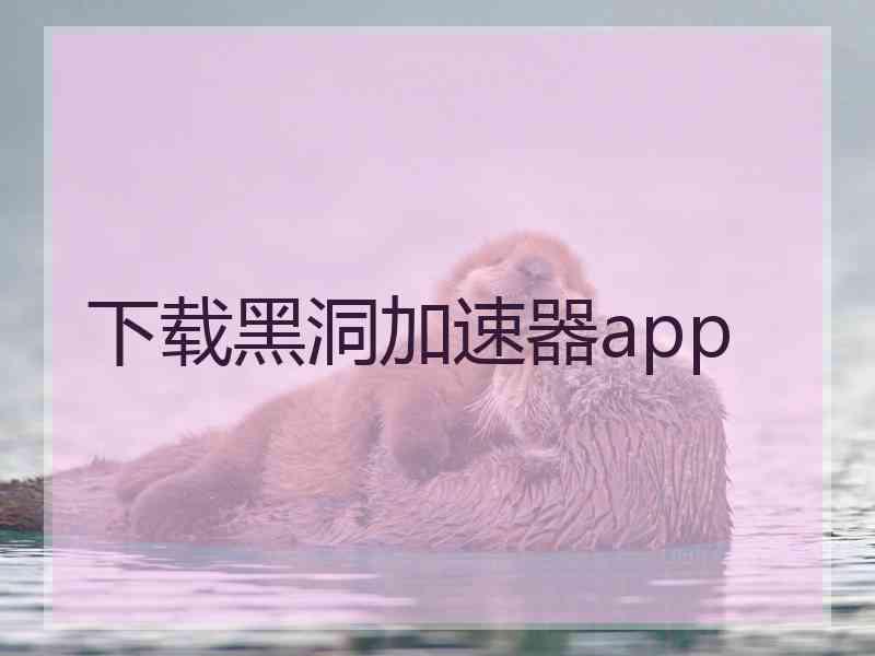 下载黑洞加速器app