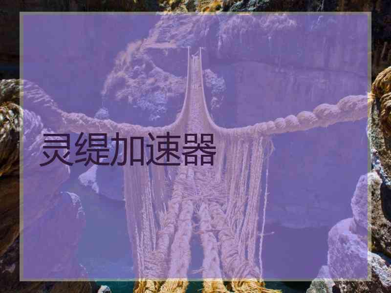 灵缇加速器