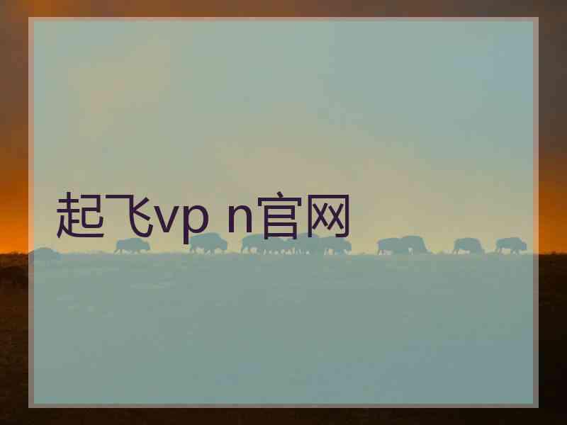 起飞vp n官网