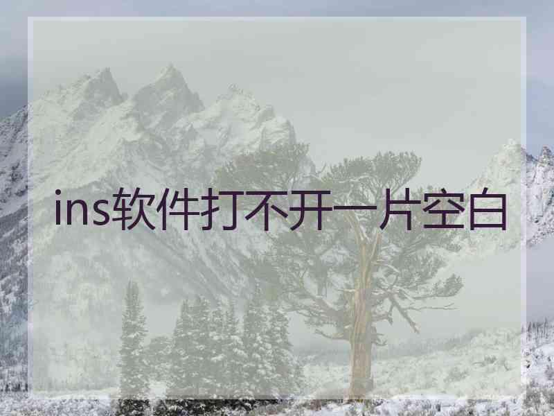 ins软件打不开一片空白