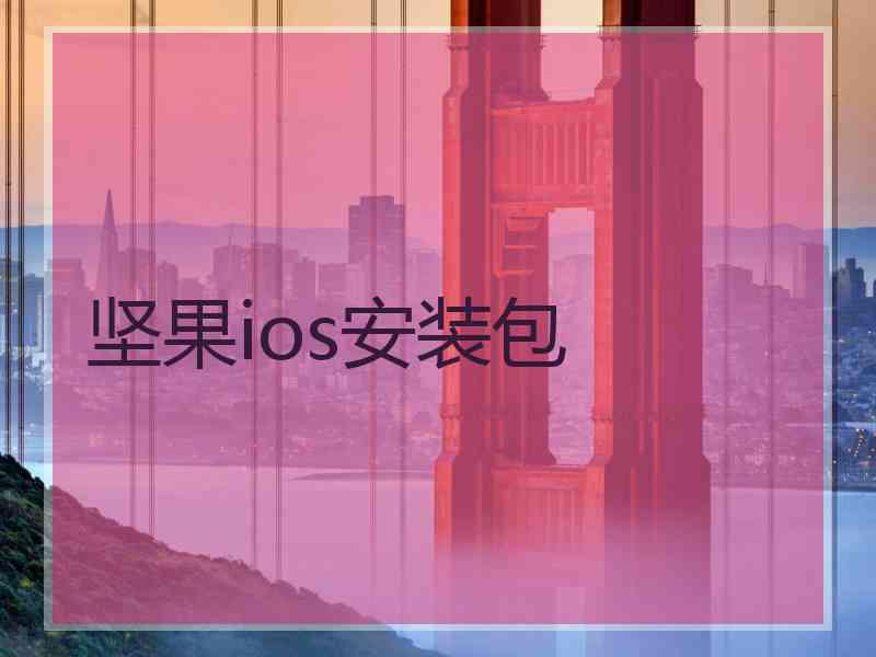 坚果ios安装包