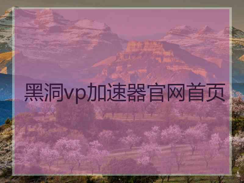 黑洞vp加速器官网首页