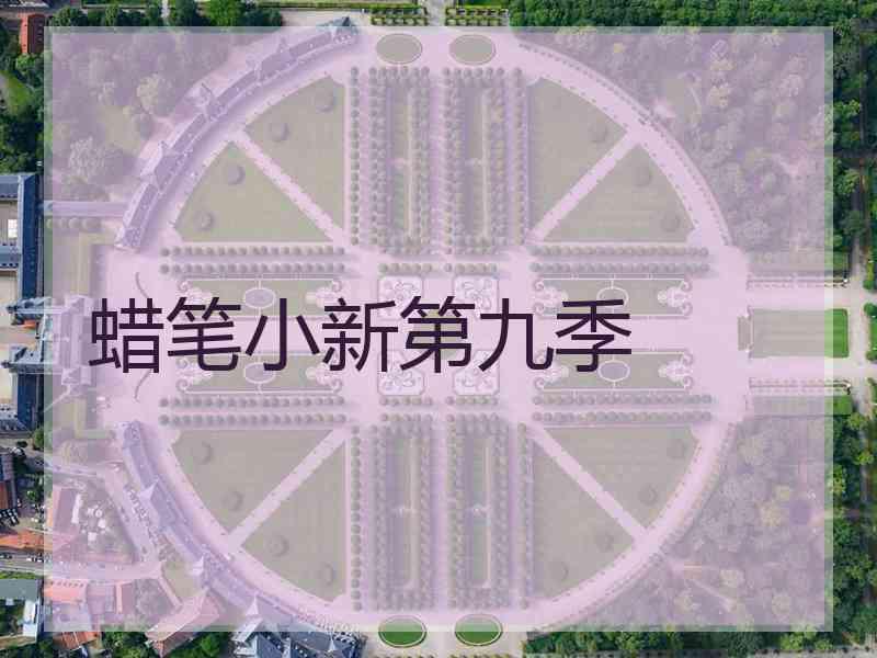 蜡笔小新第九季