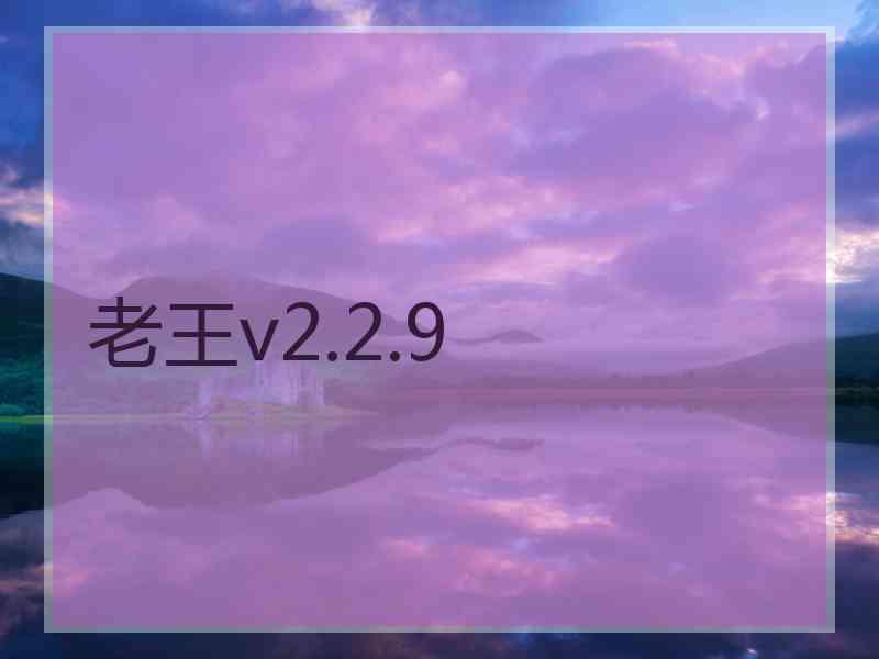 老王v2.2.9