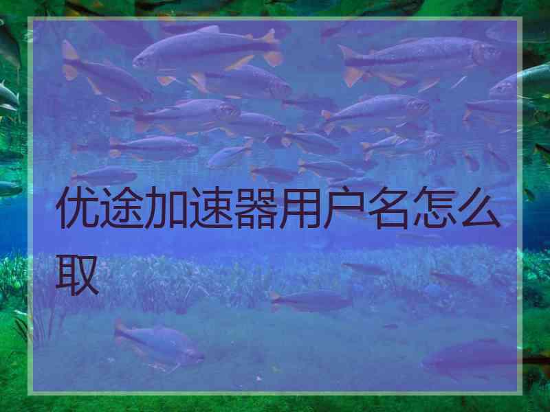 优途加速器用户名怎么取