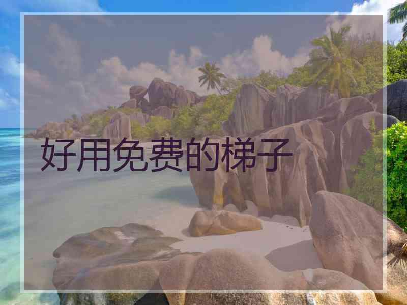好用免费的梯子