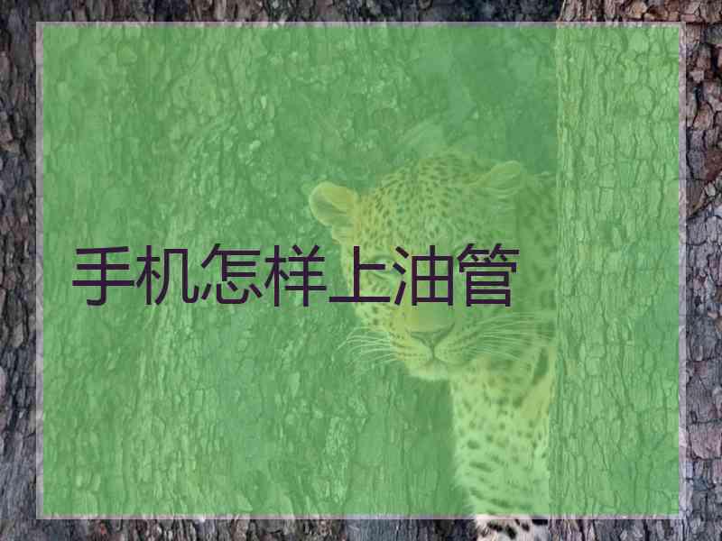 手机怎样上油管