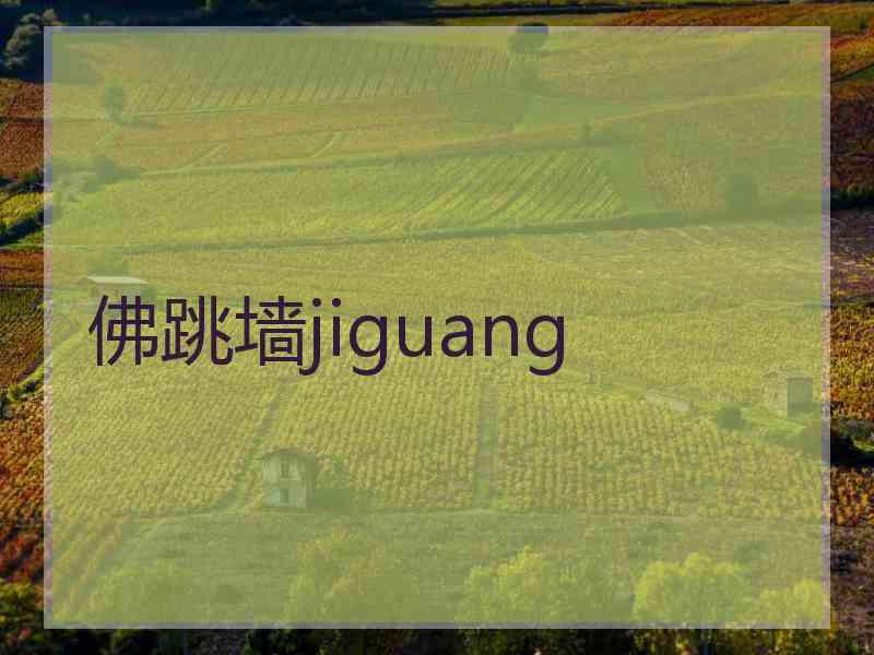 佛跳墙jiguang