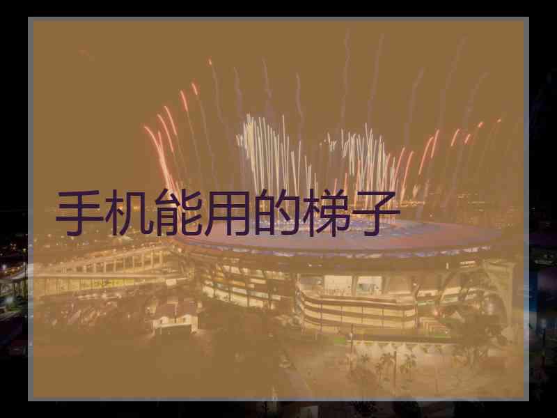 手机能用的梯子