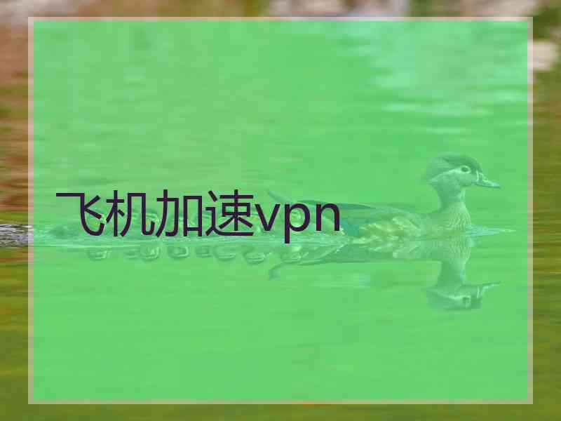 飞机加速vpn