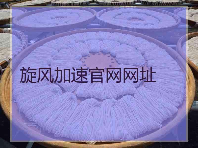 旋风加速官网网址