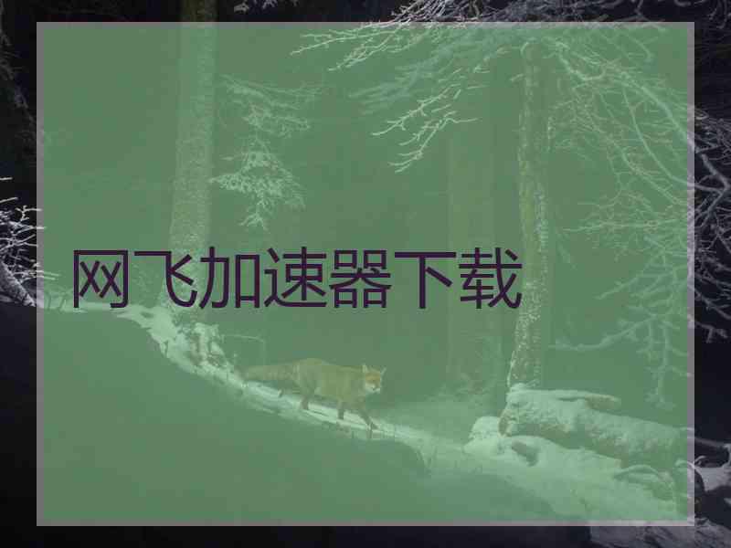 网飞加速器下载