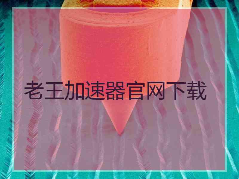 老王加速器官网下载