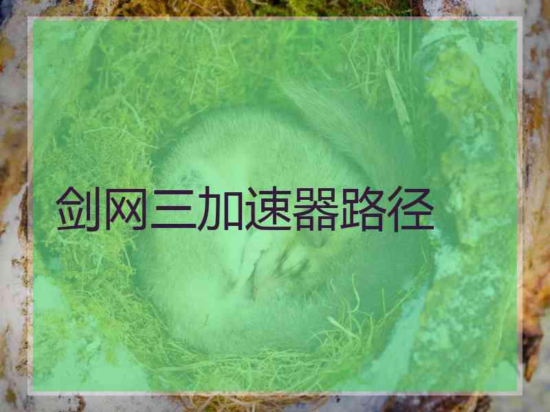 剑网三加速器路径