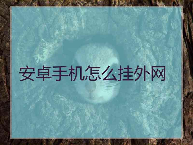 安卓手机怎么挂外网