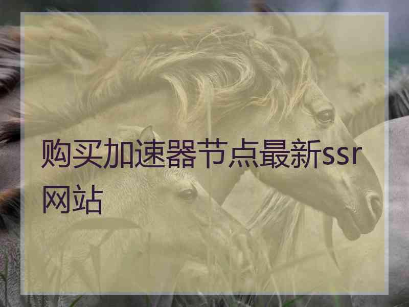 购买加速器节点最新ssr网站