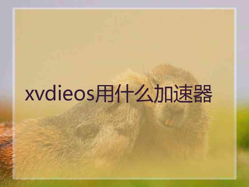 xvdieos用什么加速器