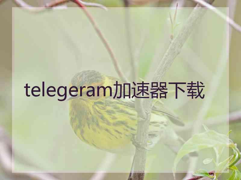 telegeram加速器下载