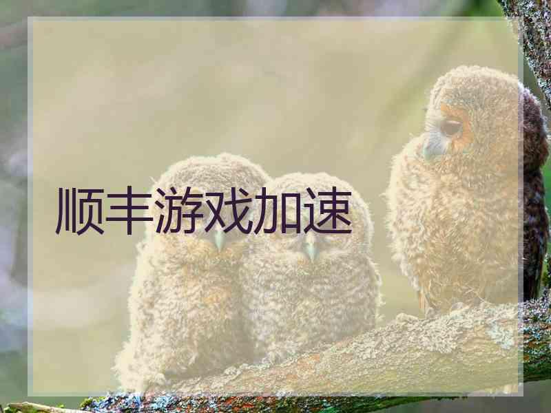顺丰游戏加速