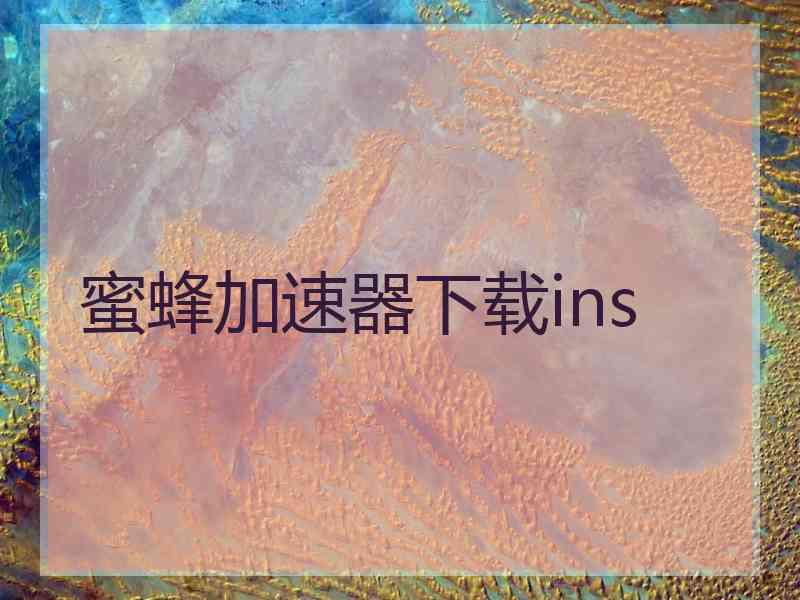 蜜蜂加速器下载ins