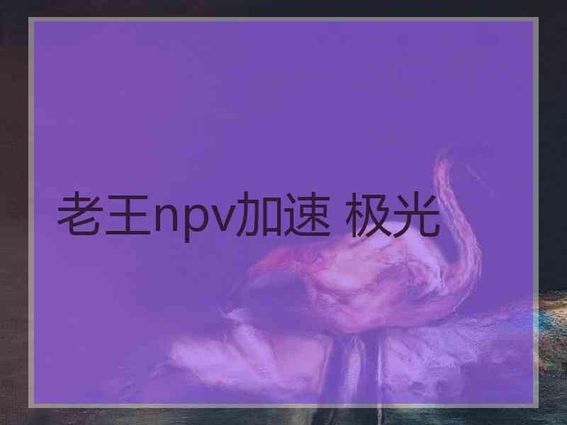 老王npv加速 极光