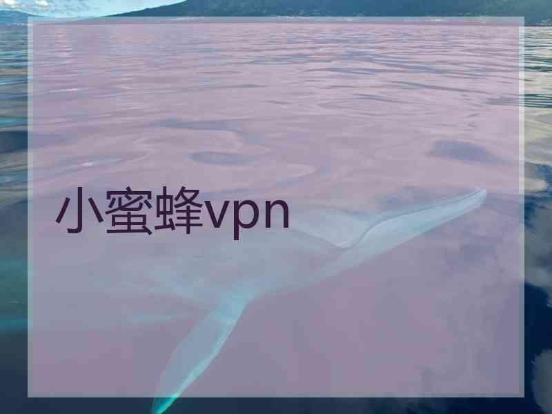 小蜜蜂vpn
