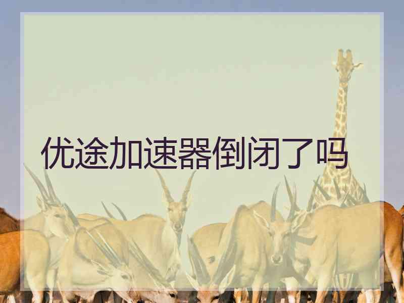 优途加速器倒闭了吗
