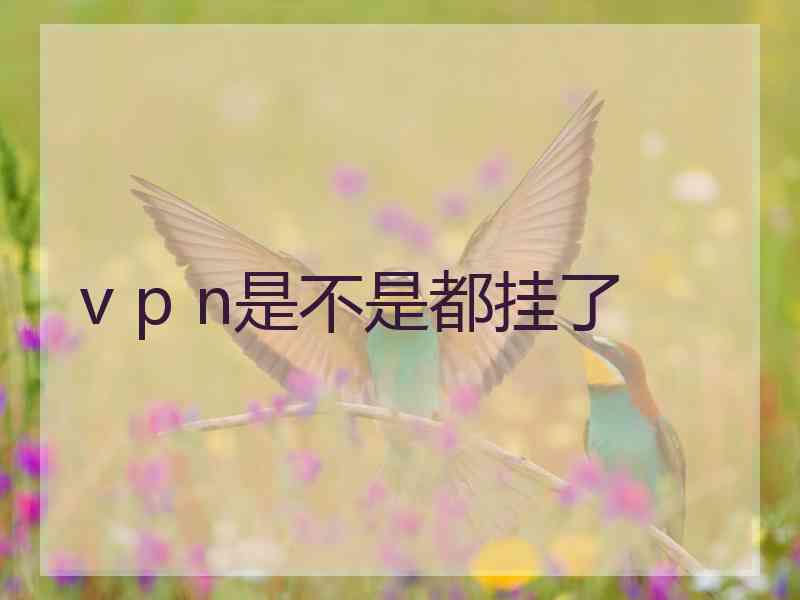 v p n是不是都挂了