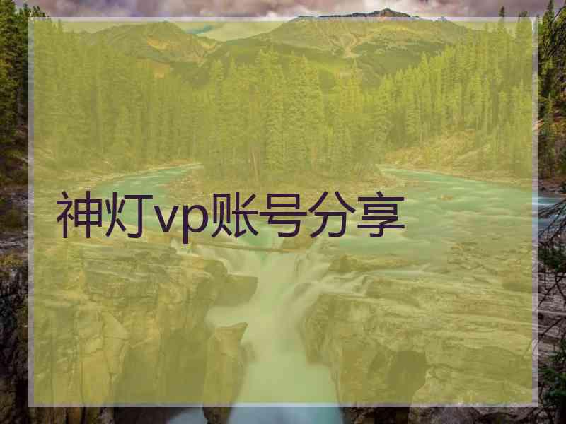 神灯vp账号分享