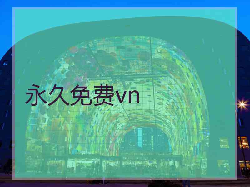 永久免费vn