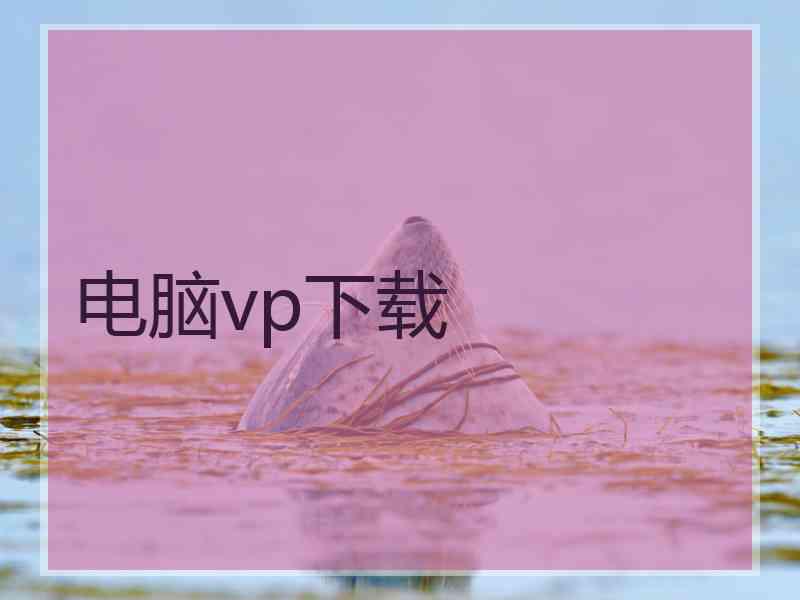 电脑vp下载