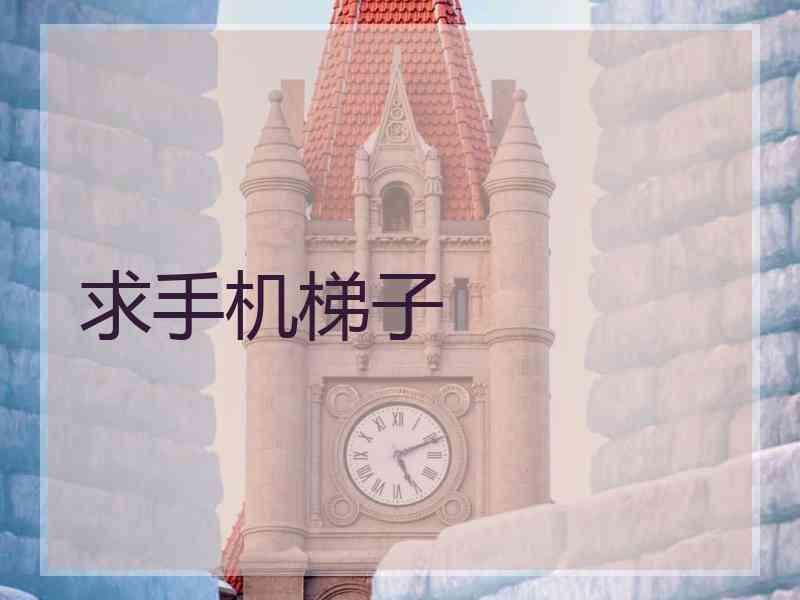 求手机梯子