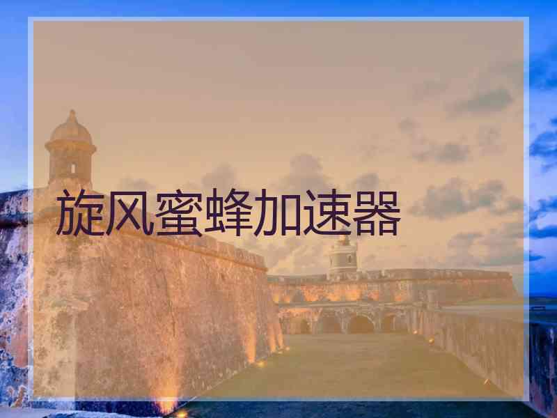 旋风蜜蜂加速器