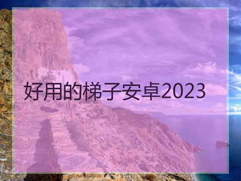 好用的梯子安卓2023