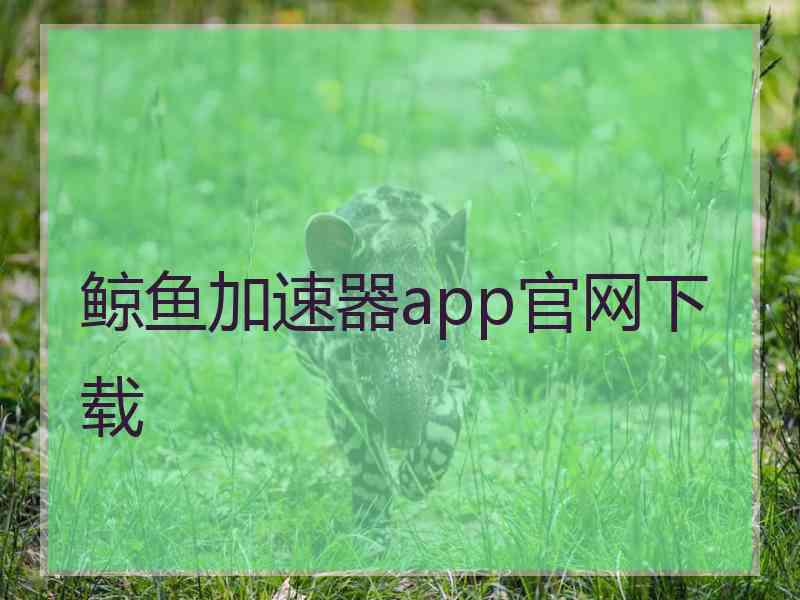 鲸鱼加速器app官网下载