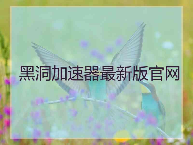 黑洞加速器最新版官网