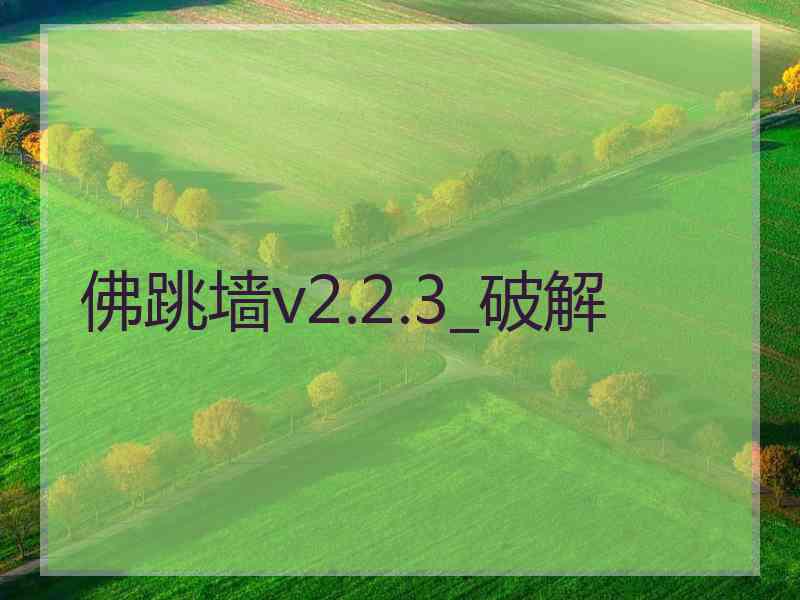 佛跳墙v2.2.3_破解