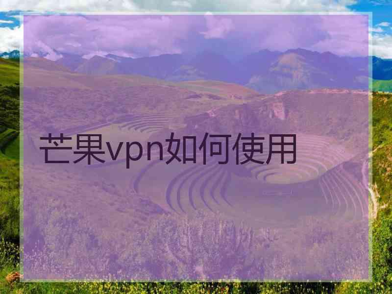 芒果vpn如何使用