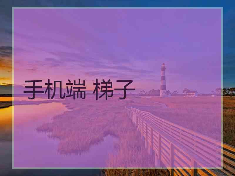 手机端 梯子