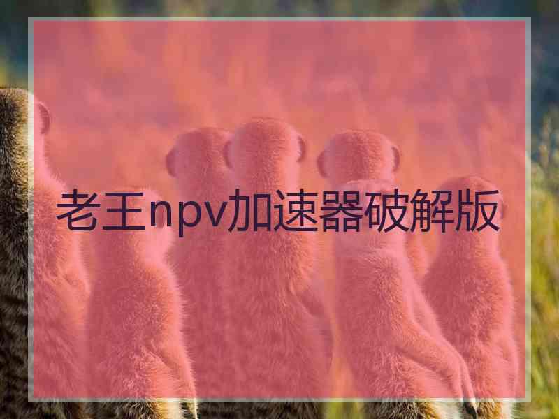 老王npv加速器破解版