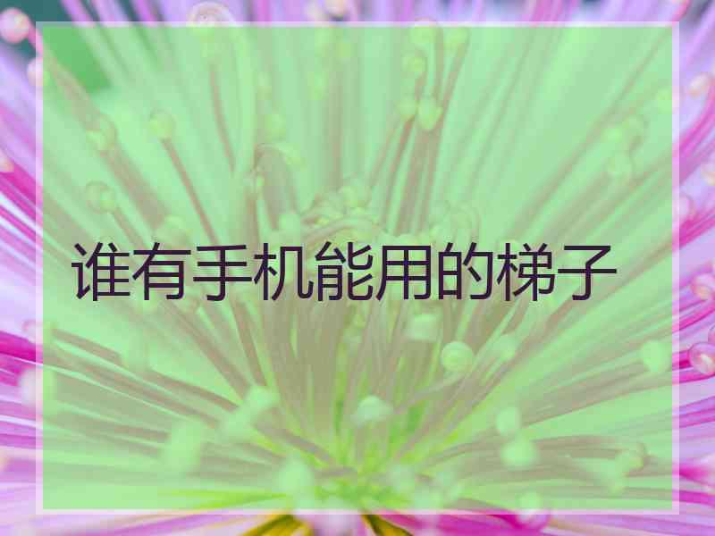 谁有手机能用的梯子