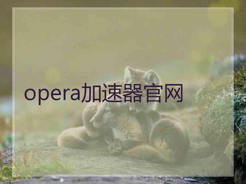 opera加速器官网