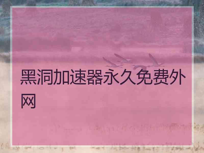 黑洞加速器永久免费外网