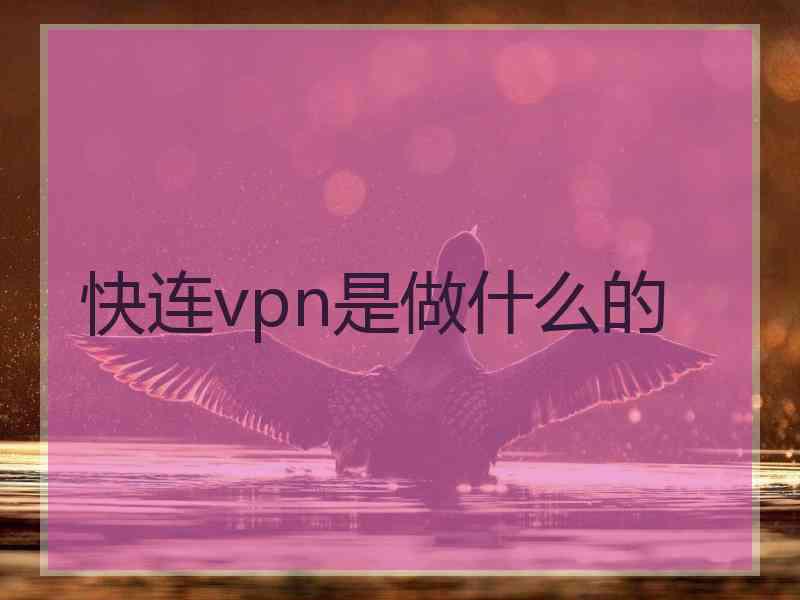 快连vpn是做什么的