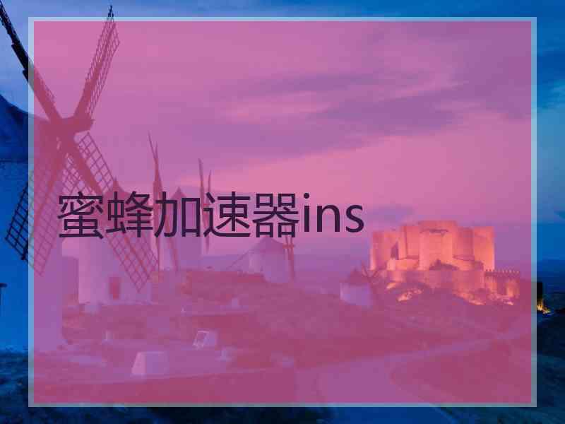 蜜蜂加速器ins