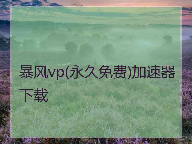 暴风vp(永久免费)加速器下载