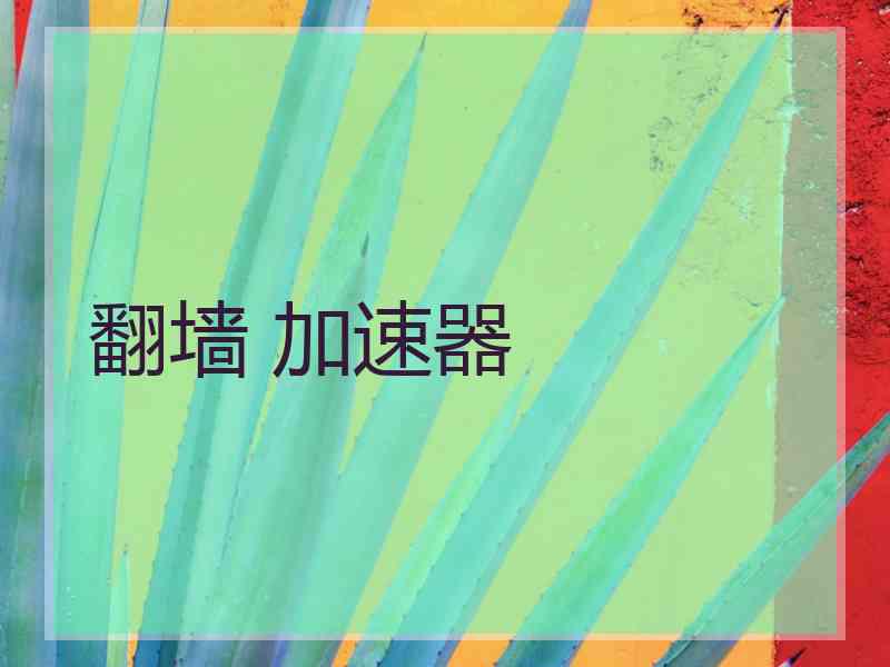 翻墙 加速器
