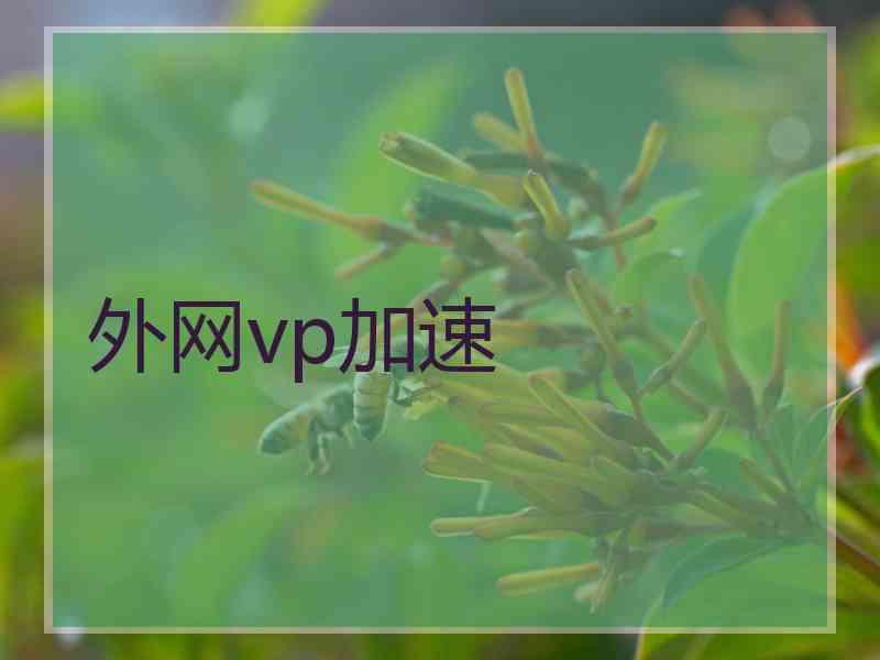 外网vp加速