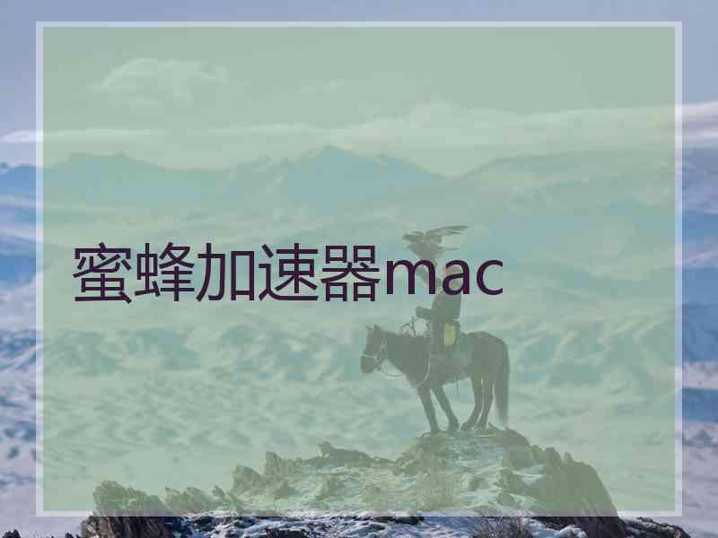 蜜蜂加速器mac